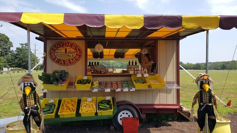 Snyder's Farm, New Jersey