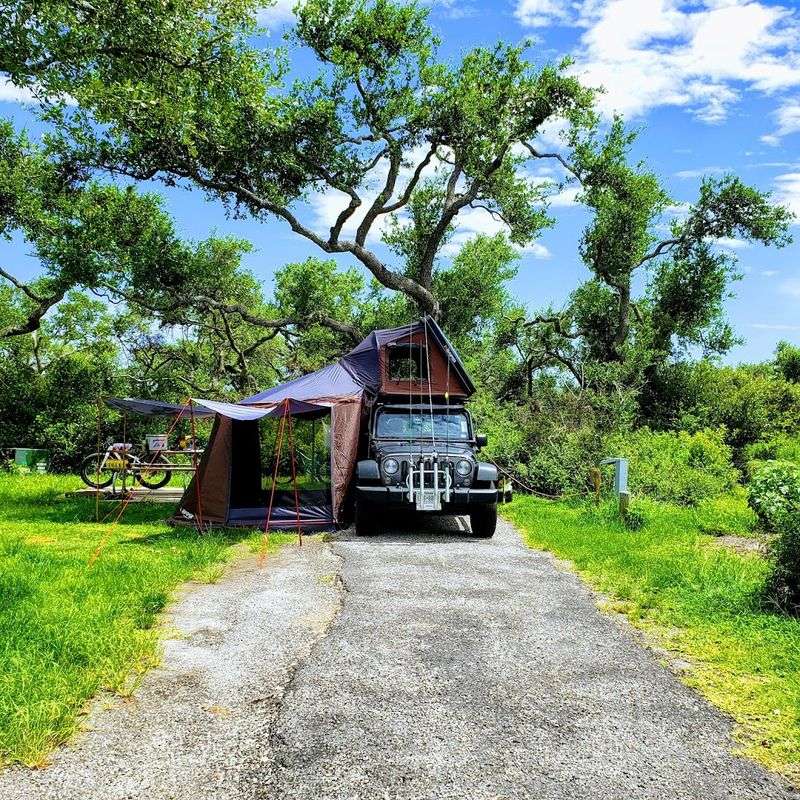 Wooded Campsites Hidden Among the Oaks