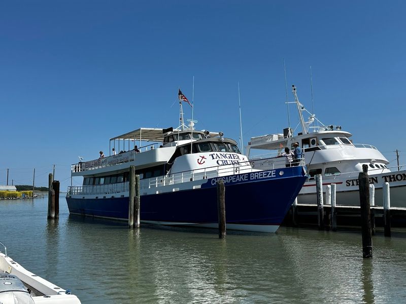 Golf Cart Tours That Show You Everything in Minutes