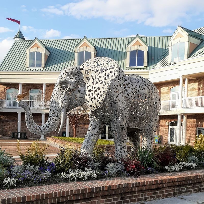 Membership Perks and Senior Wednesdays