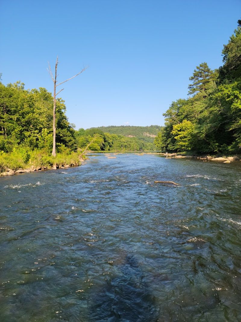 Wildlife Sightings Come Without Warning and Without Apology