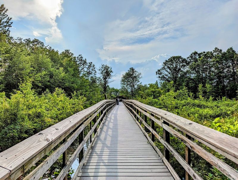 Wildlife Observation Center at Great Swamp NWR
