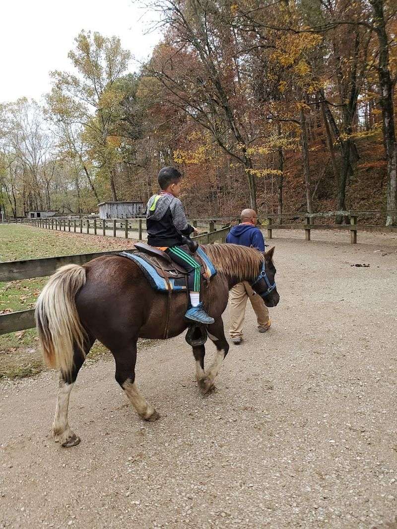 Pony Rides That Make Little Ones Absolutely Light Up