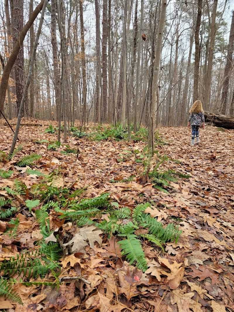 Dogs, Kids, and Everyone In Between: Who This Trail Welcomes