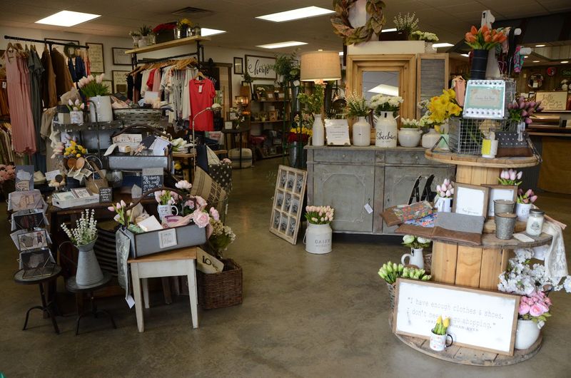 Hours And Timing Tips So Coffee And Plants Both Fit