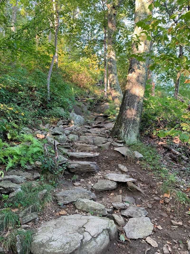 Gear and Preparation Tips That Serious Hikers Swear By