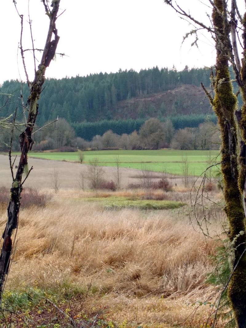 Horseback Riding and Other Trail Uses