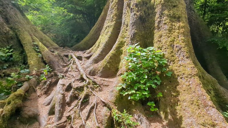 What to Bring on the Trail