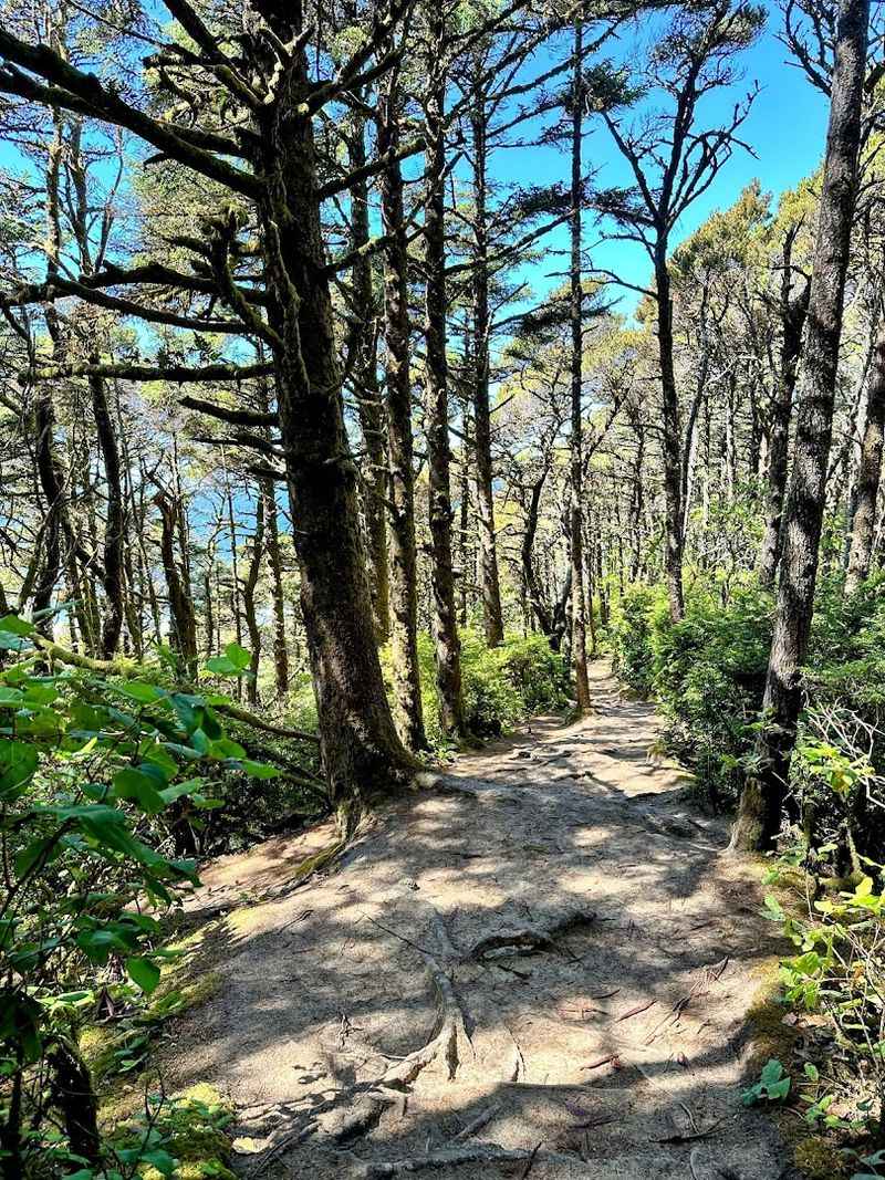 Practical Tips for Making the Most of Your Visit