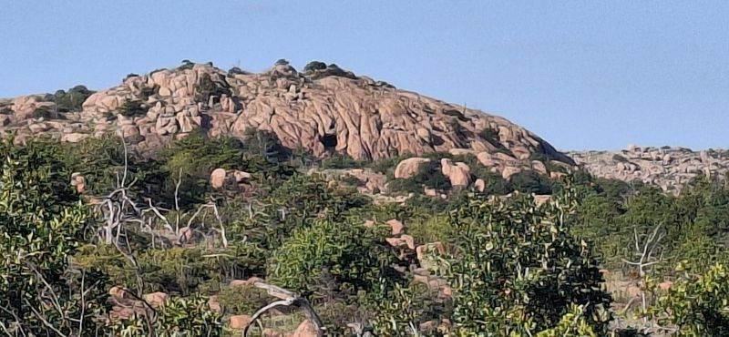 Wildlife And Nature Worth Watching For