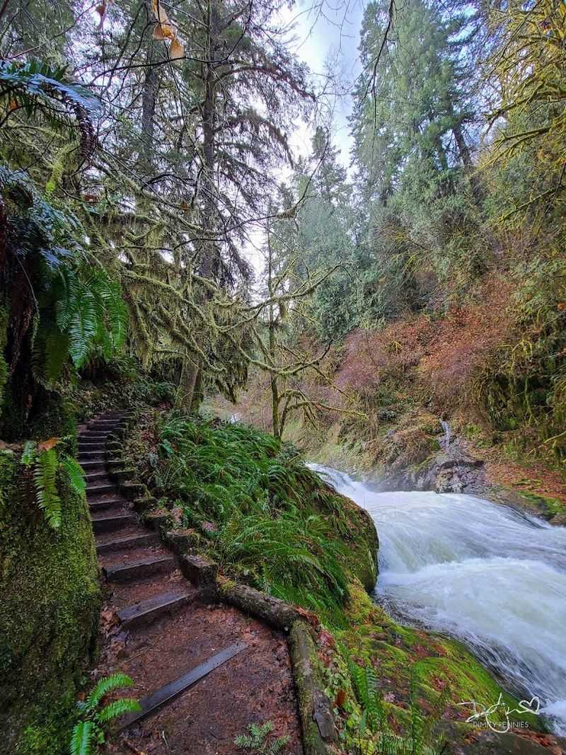 Why Sweet Creek Falls Trail Stays With You Long After You Leave