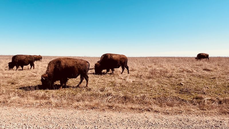 Why This Place Feels Like the Real Oklahoma