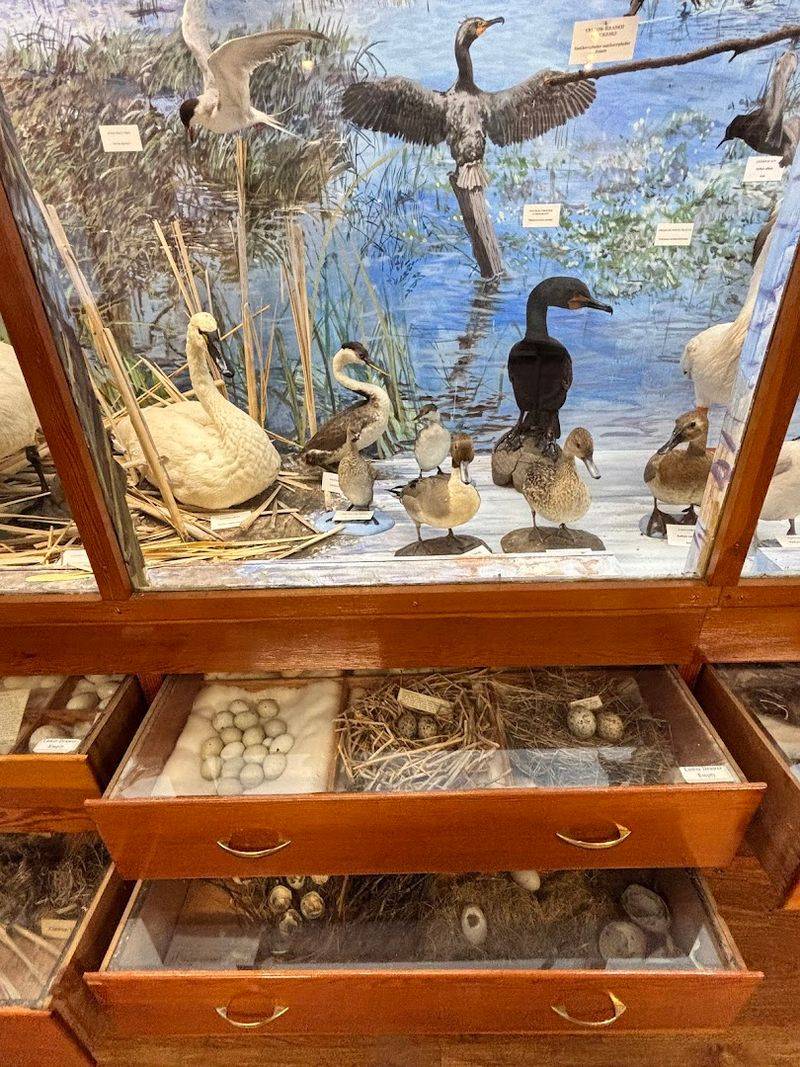 The History and Conservation Story of Malheur