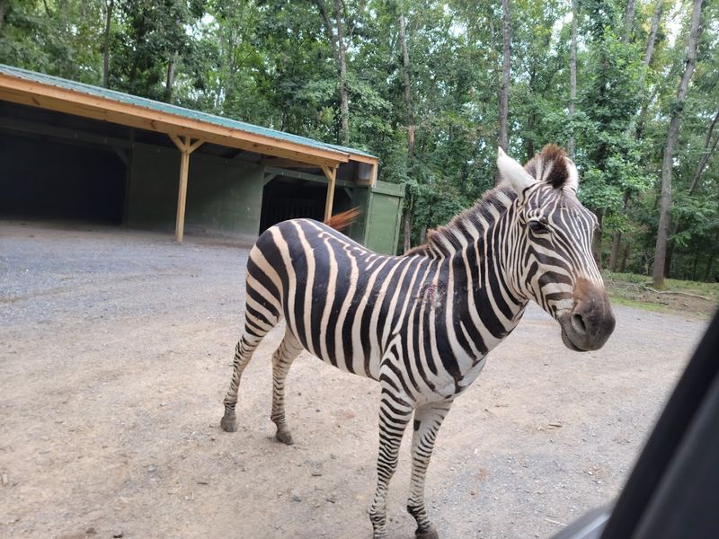 Photography Opportunities