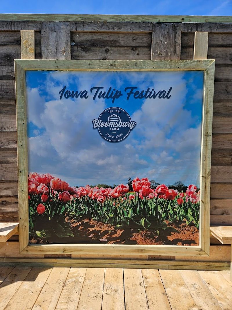 Photo Spots That Look Like Pure Color From Every Angle