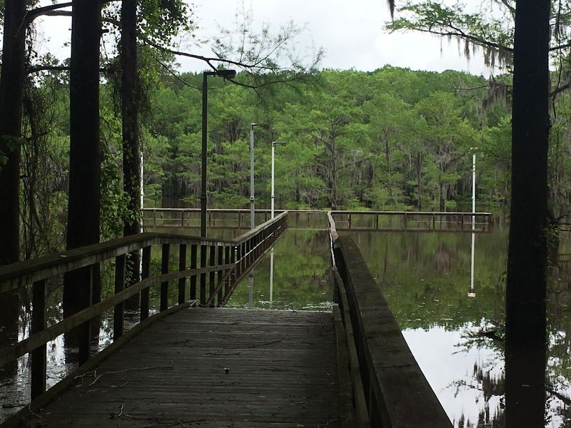Caddo Lake State Park