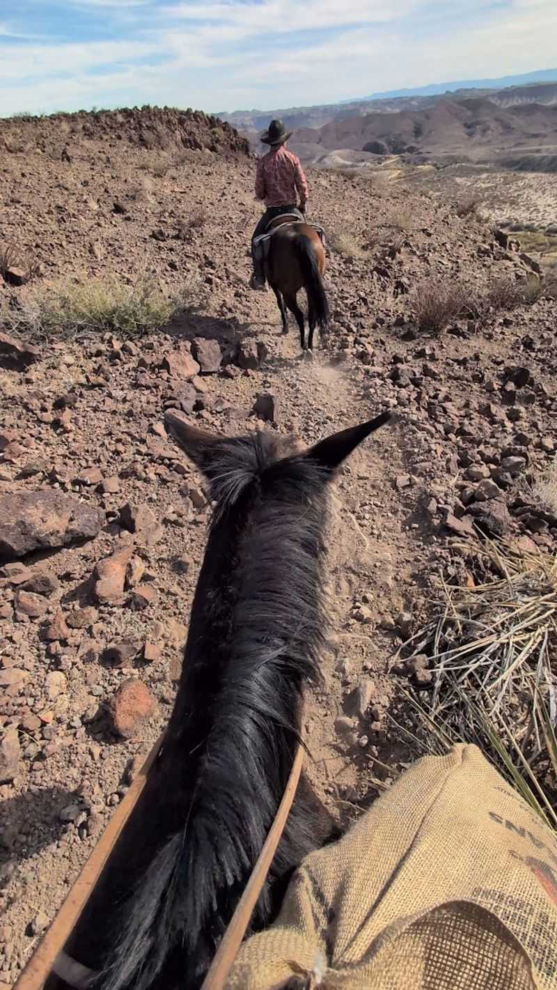 What to Know Before You Ride