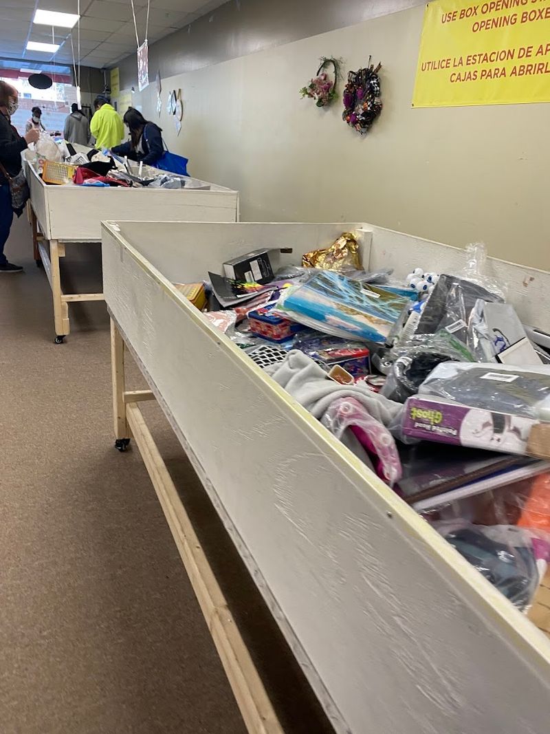 Why Every Restock Day Brings Fresh Treasure Hunt Energy