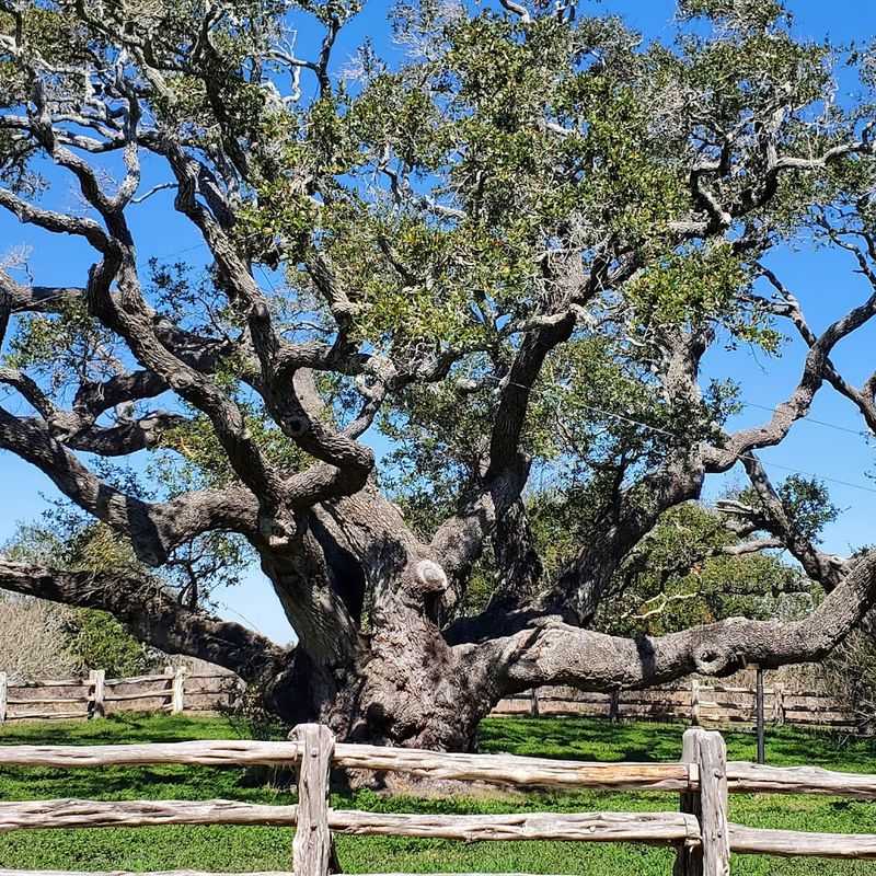 Why Goose Island Deserves a Spot on Your Texas Travel List