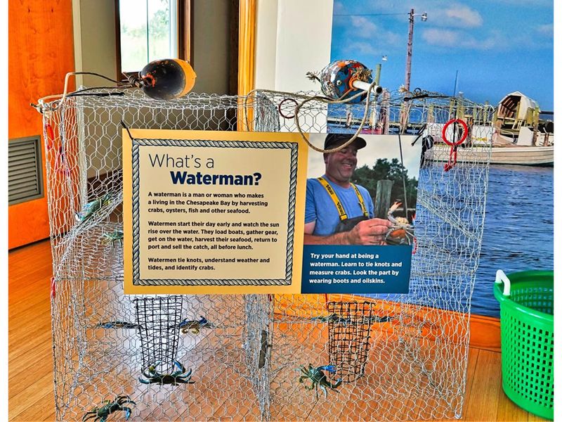 The Visitor Center and Its Interactive Exhibits