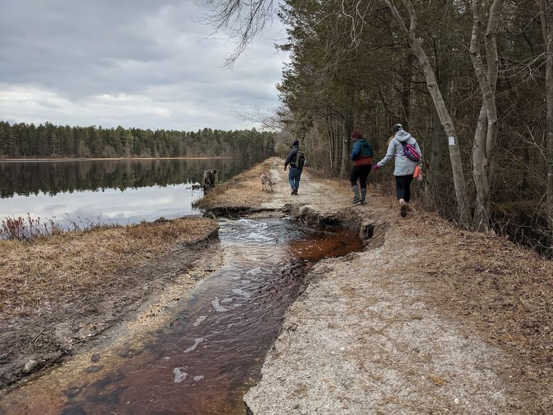 A Free, Accessible Retreat Worth Returning To