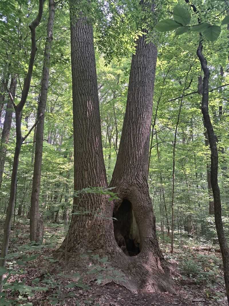 A National Natural Landmark with Real History Behind It