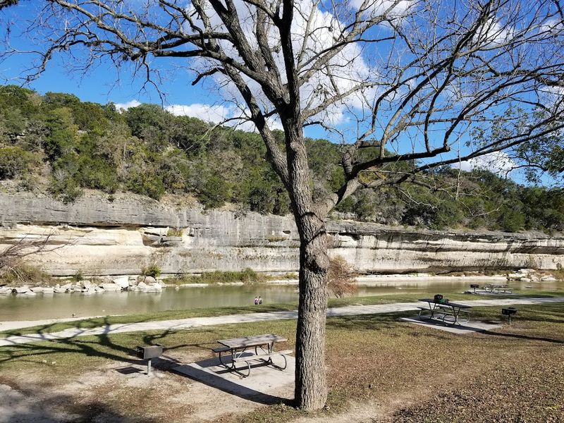 Picnicking and Family-Friendly Spaces