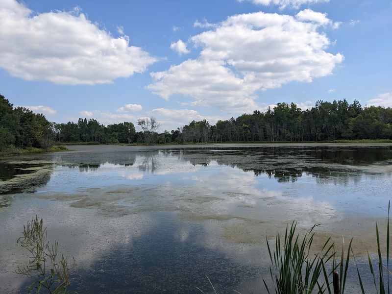 A Boardwalk and Trail System Built for Every Kind of Explorer
