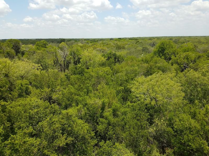 Over 300 Butterfly Species in One Refuge