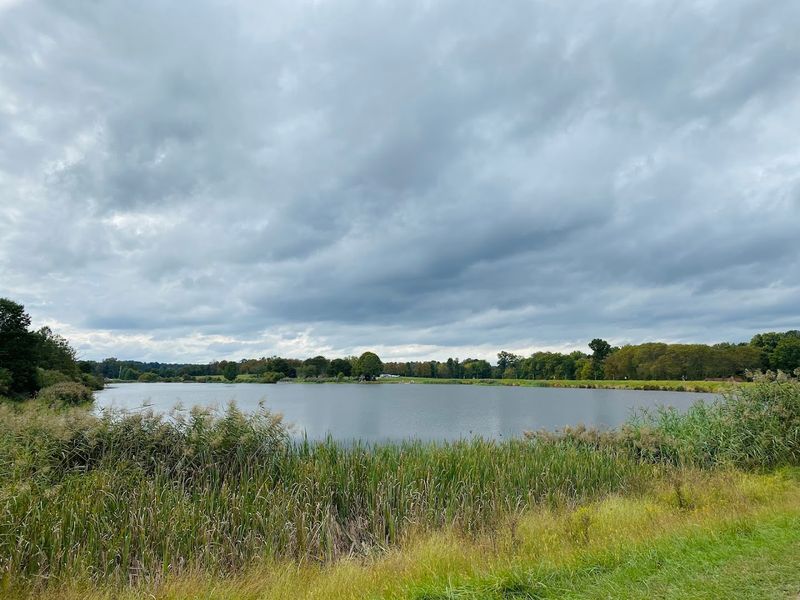 The Rosedale Park District: Lakes, Wildlife, and Pure Tranquility