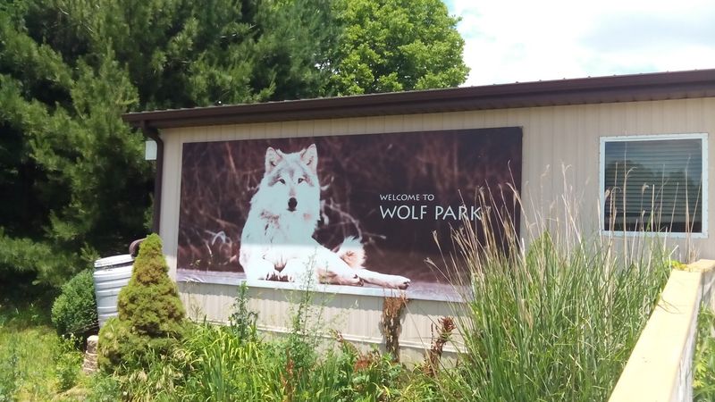 Wolf Park: Wolf Howl Nights