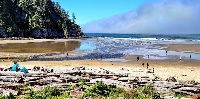 The Cove: A Natural Shelter From the Wind