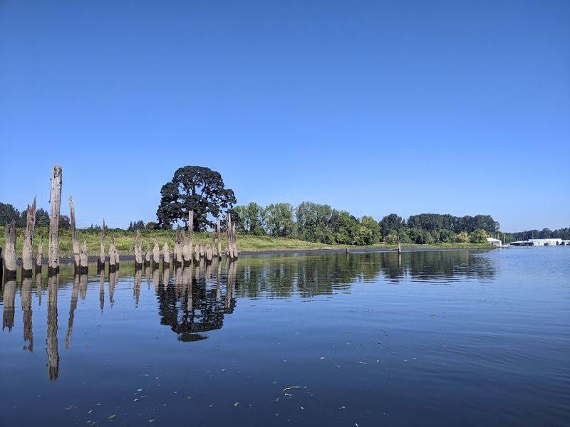 The Calm Water That Makes It Perfect for Beginners