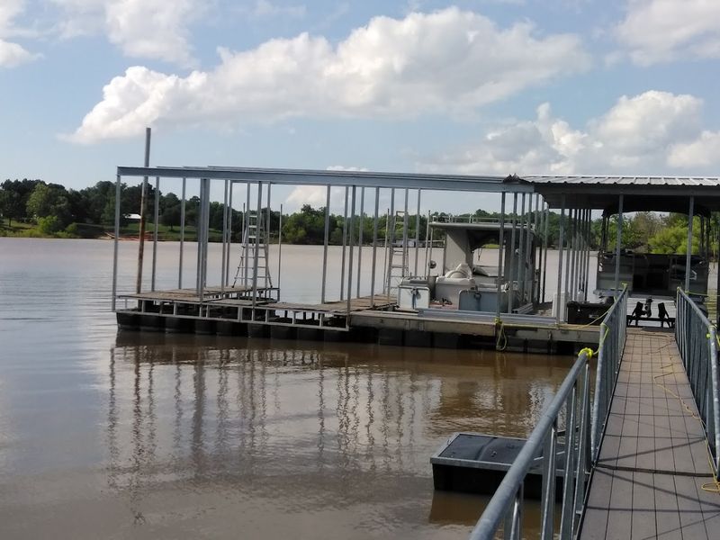 Wildlife That Thrives Around the Exposed Shoreline