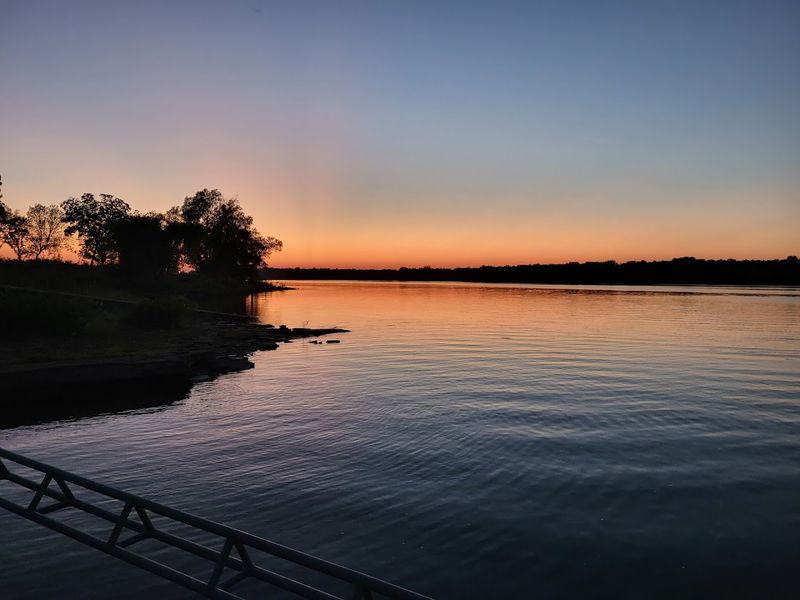 Birdwatching Along the Shoreline Trails
