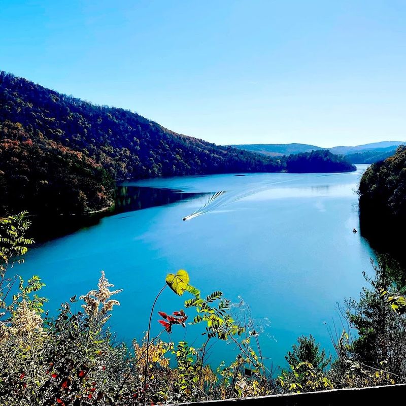 Hiking Trails Around the Lake: Scenic Overlooks and Forest Solitude