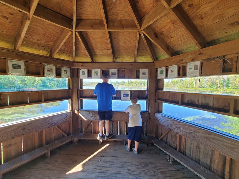 The Wonderful Wetlands Education Program