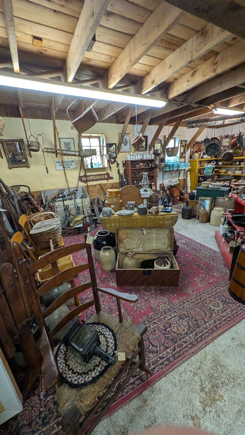 Antique Sections That Mix Practical Finds With Pure Weird Fun