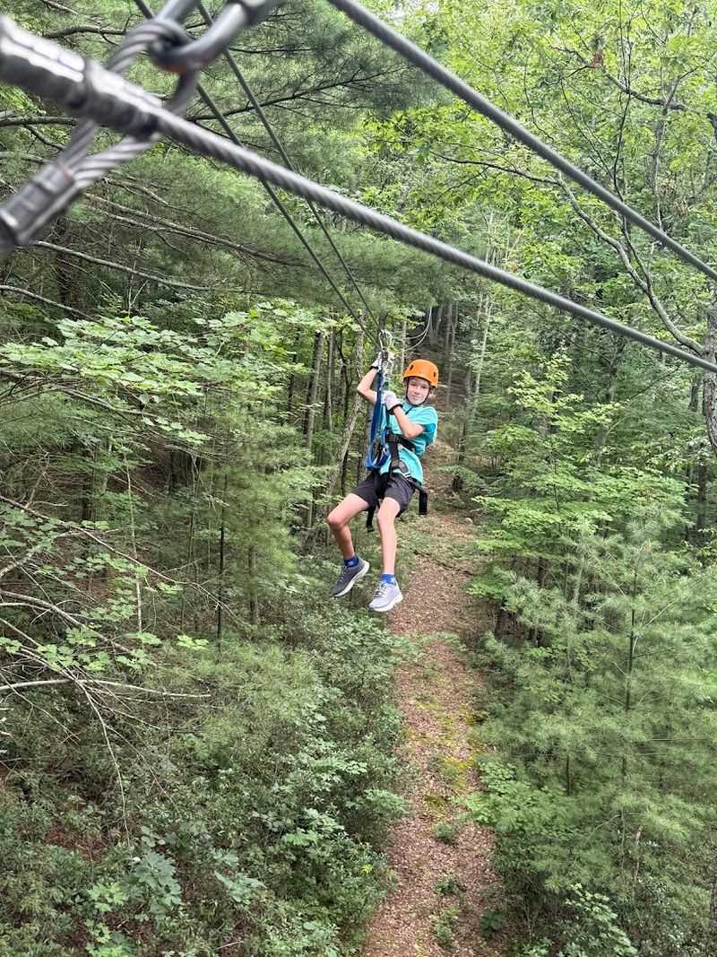 Why Bear Mountain Ziplines Belongs on Every Virginia Bucket List