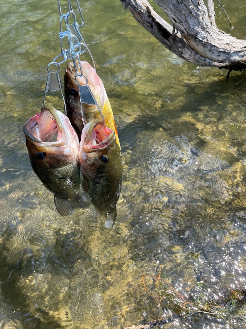 Point View Reservoir (Passaic County)