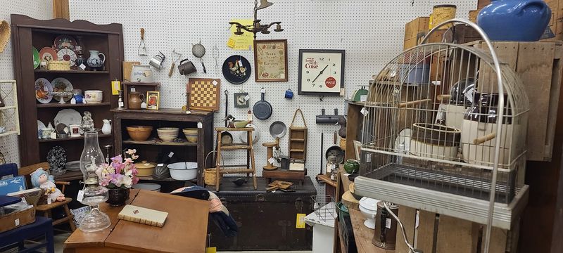 Photo Worthy Displays That Look Staged On Purpose