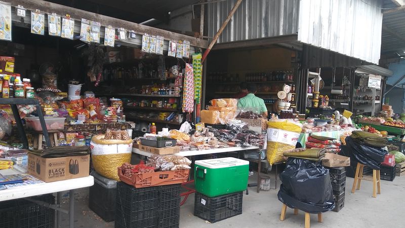 Plants, Seeds, and Green Thumb Finds