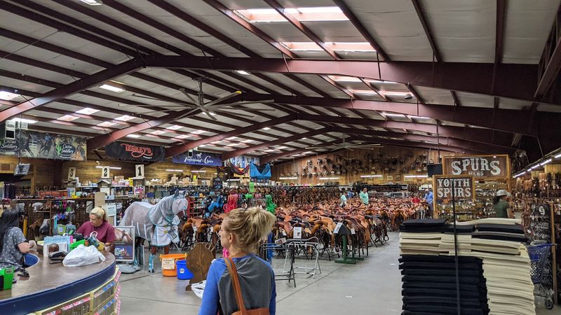 Bits, Spurs, and the Fine Art of Horse Communication