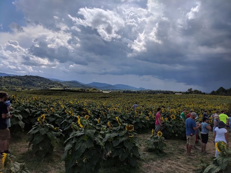 Small-Town Festivals and Community Events: Buchanan Knows How to Celebrate