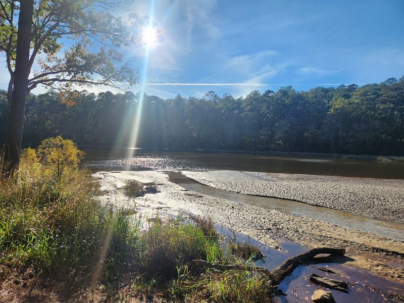 Boykin Springs Lake: A Sandy Beach Surprise in the Middle of the Forest