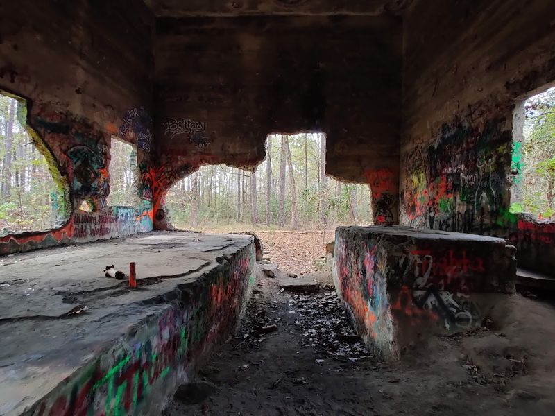The Old Aldridge Sawmill Ruins: Where the Forest Reclaims Its Past