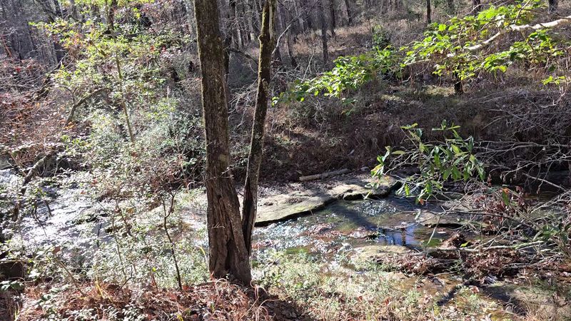 The Sawmill Hiking Trail Itself