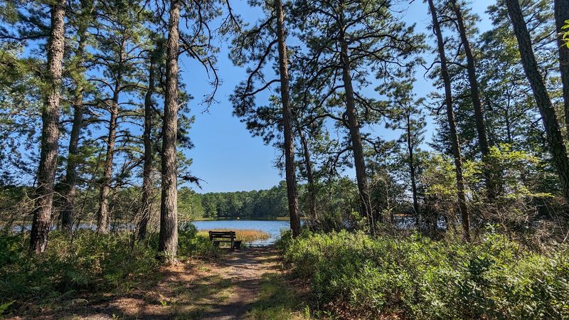 Bass River State Forest