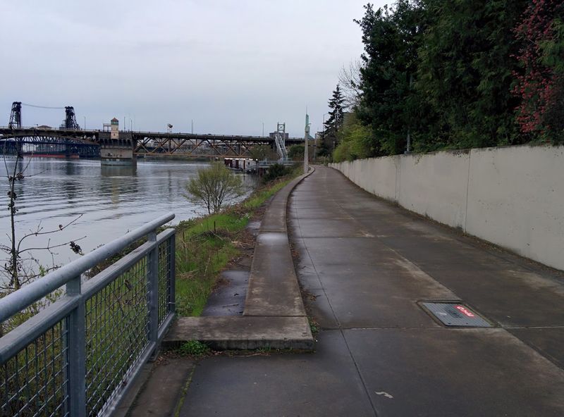 Running, Walking, and Moving at Your Own Pace