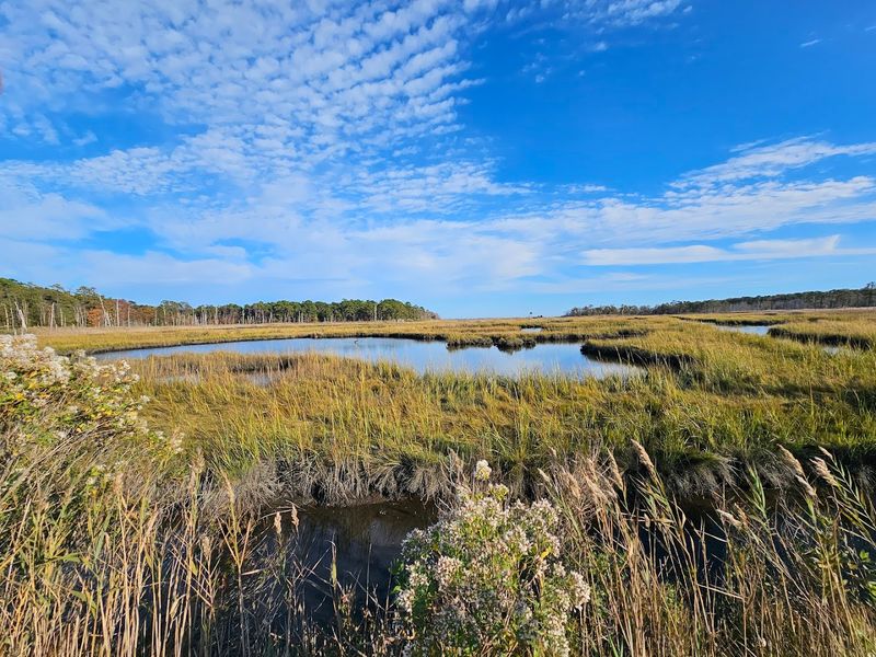 Seasonal Visits and What to Expect Year-Round